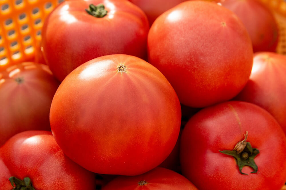 北斗市の神トマト