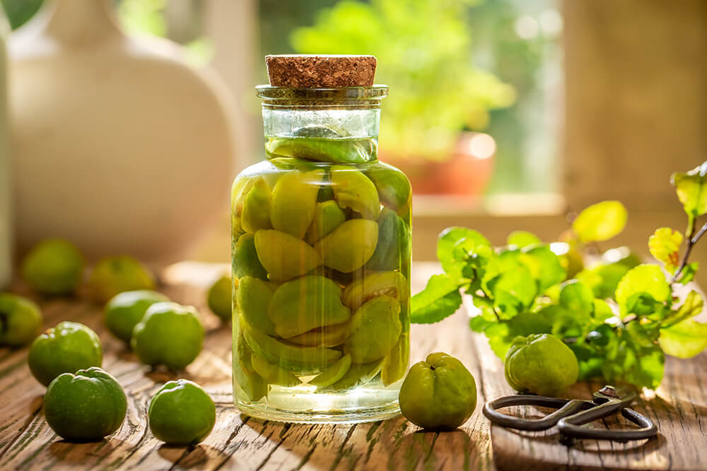 北斗市はマルメロが豊作