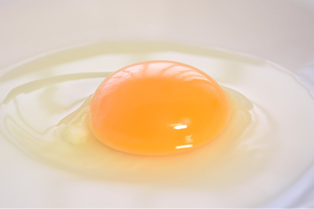 卵の黄身と白身のアップ