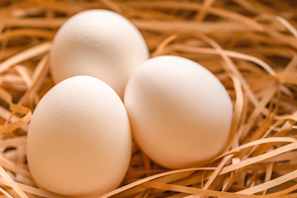 平飼い卵とは？ 自然に近い養鶏法でおいしさが増すの画像