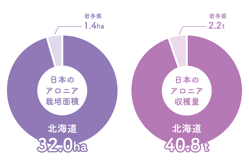 日本のアロニア栽培面積・収穫量