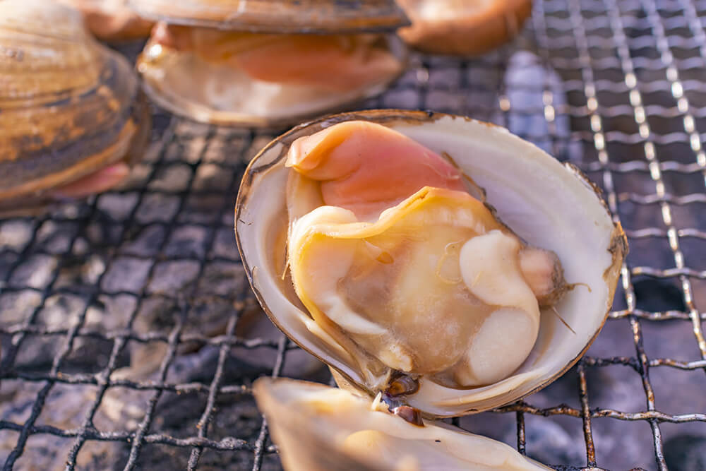 ホッキ貝は北海道ならではの海産物！ 水揚げ量20年連続1位の画像