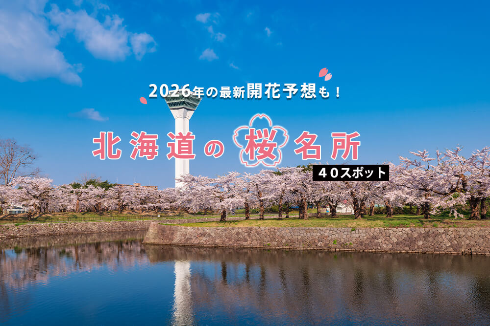 北海道の桜はいつ開花する？ 見頃は？...のイメージ