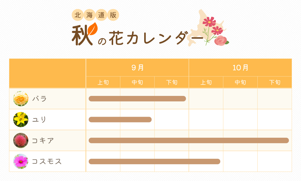 北海道版　秋（9・10月）の花カレンダー