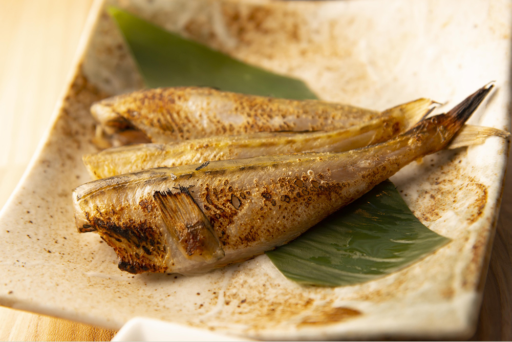 こまい 魚 栄養