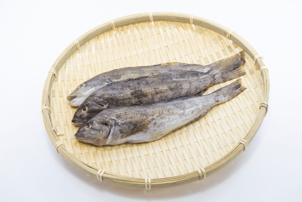 アイナメの旬はいつ 脂のりと旨みが最強の高級魚を美味しく食べるには Prezo プレゾ 北海道の豊かな恵みを産地直送