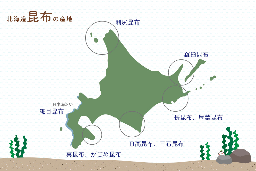北海道は昆布が豊富！ 主な産地はどこ？