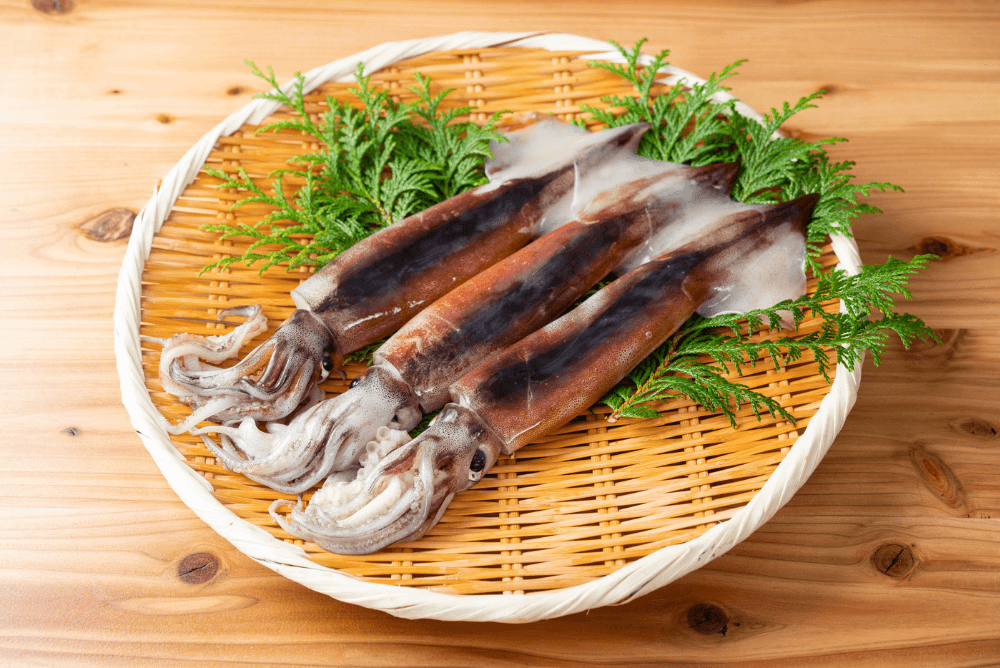 北海道のイカはなぜおいしいのか？ イカの種類やツウな食べ方を紹介の画像