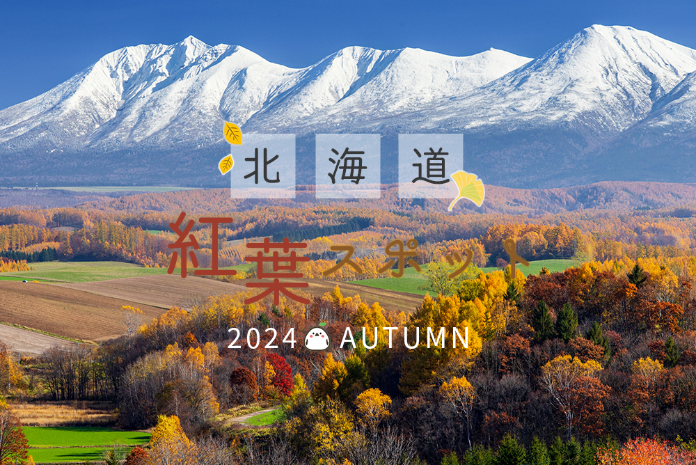 北海道でおすすめの紅葉スポット＆名所17選【2024】の画像