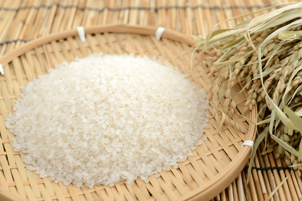 無洗米・精米のおいしい炊き方を解説