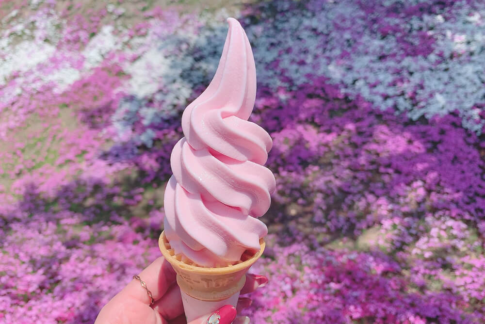 ひがしもこと芝桜公園のソフトクリーム