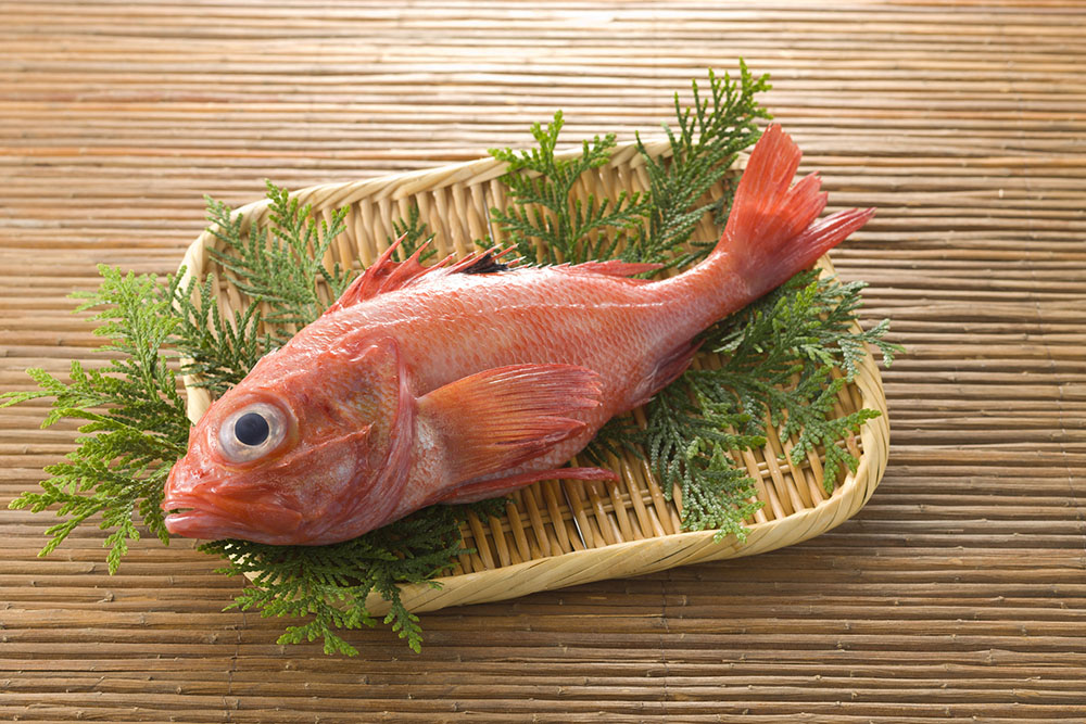 北海道の高級魚「きんき（めんめ）」ってどんな魚？金目鯛との違いも解説の画像