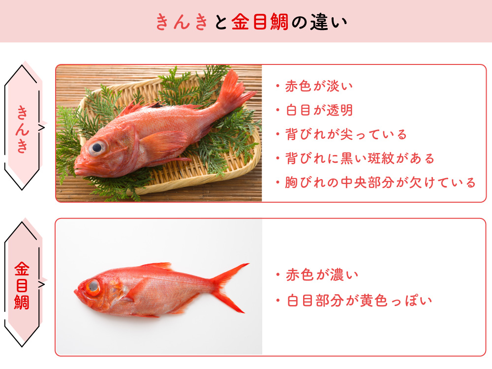 北海道の高級魚 きんき めんめ ってどんな魚 金目鯛との違いも解説 Prezo プレゾ 北海道の豊かな恵みを産地直送