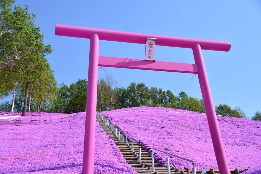 ひがしもこと芝桜公園の山津見神社