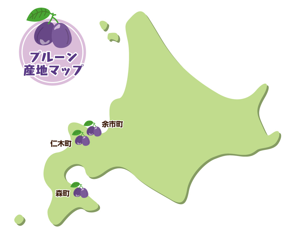 プルーンの生産量全国2位を誇る北海道