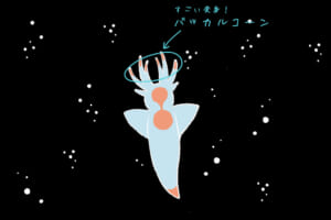 流氷の天使「クリオネ」の生態とは？かわいく見えて捕食シーンは衝撃的！？｜PREZO(プレゾ) - 北海道のお取り寄せグルメと産直通販