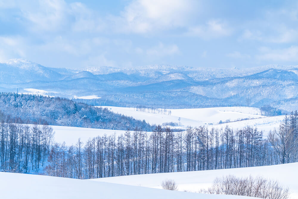 北海道の雪はいつからいつまで降るの？...のイメージ
