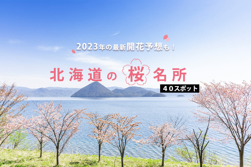北海道の桜はいつ開花する？ 見頃は？ 2023年の最新開花予想と桜の名所40選のイメージ
