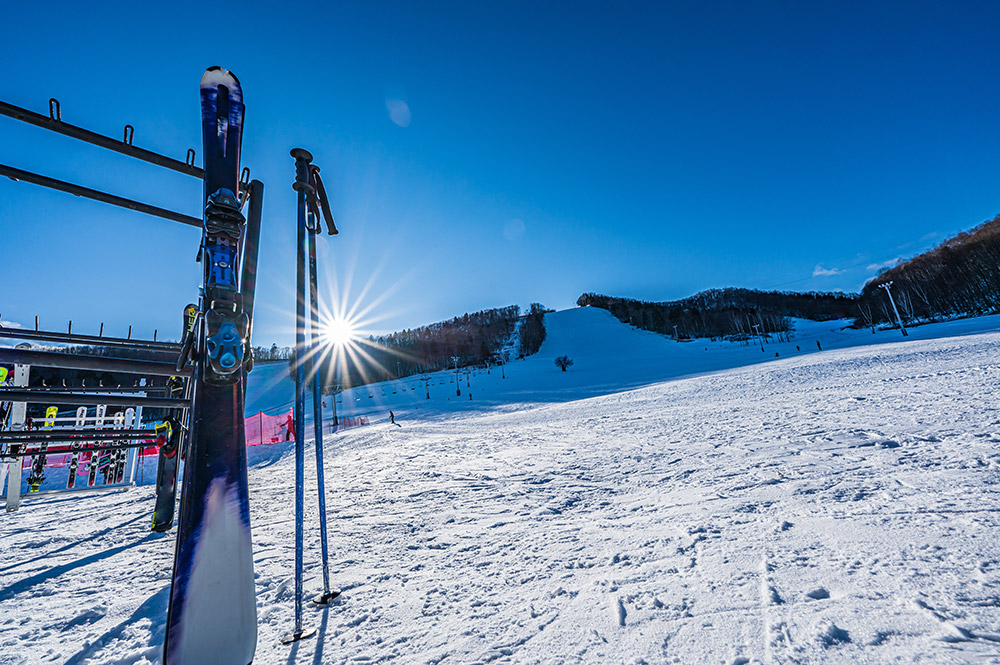 冬の北海道はスキー場が人気