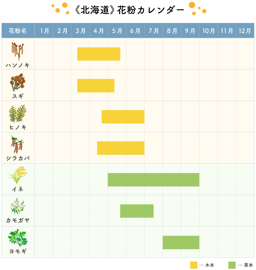北海道は花粉が少ないって本当？