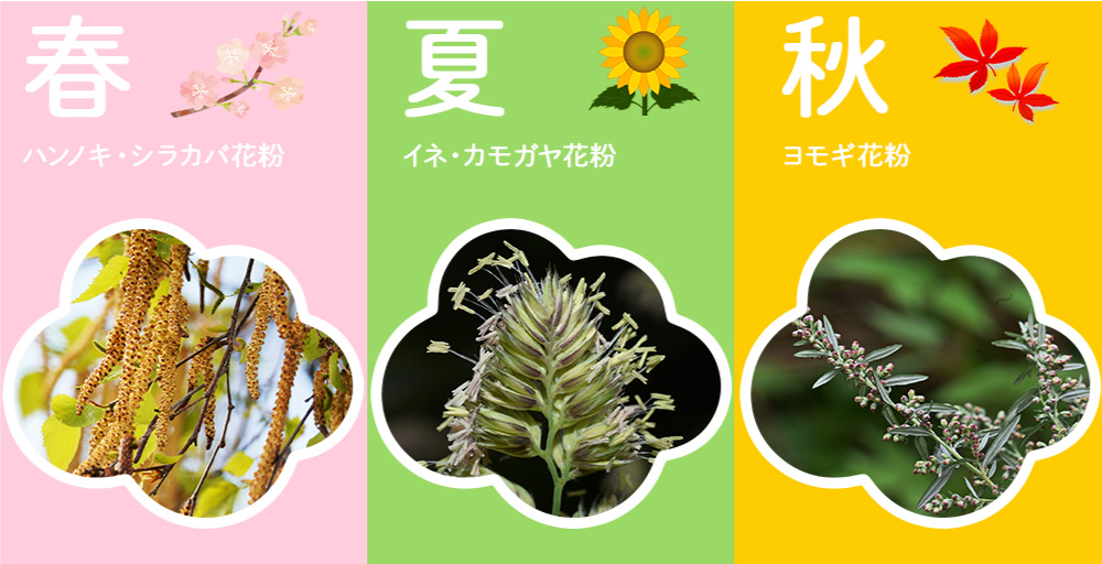 【季節別】北海道の花粉事情