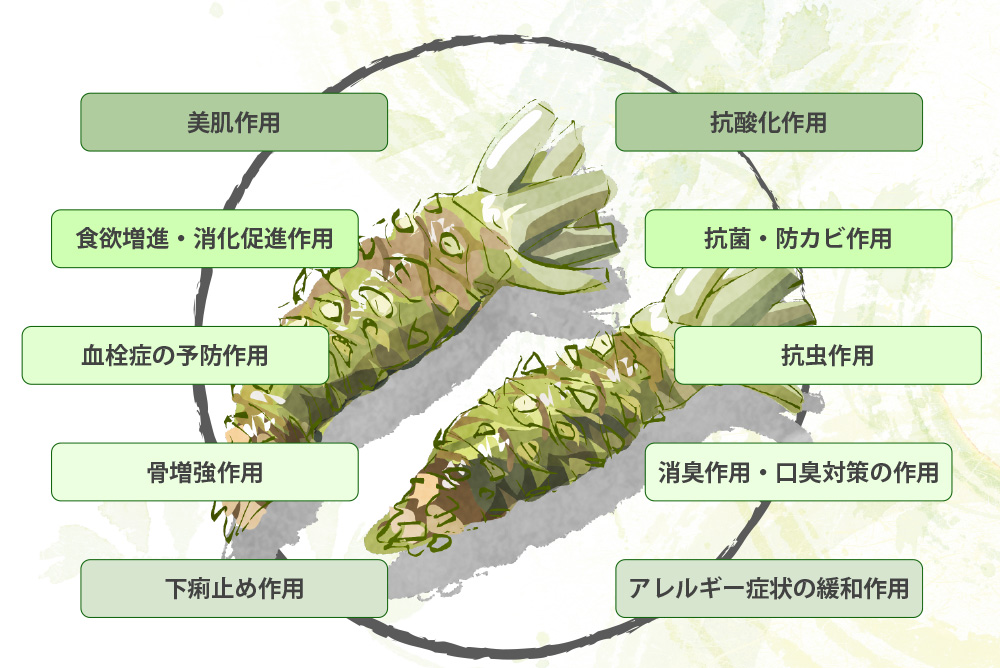 健康にいい？わさびの効果・効能