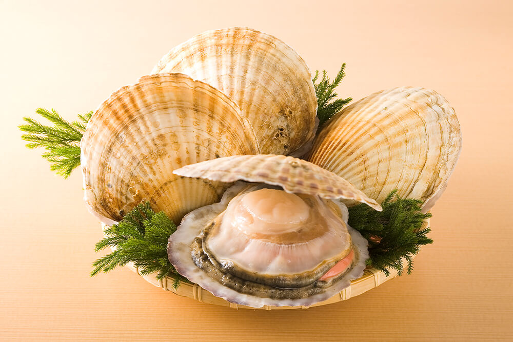 ホタテは美味しく食べて環境にも優しい！ホタテの貝殻は再利用できるの画像