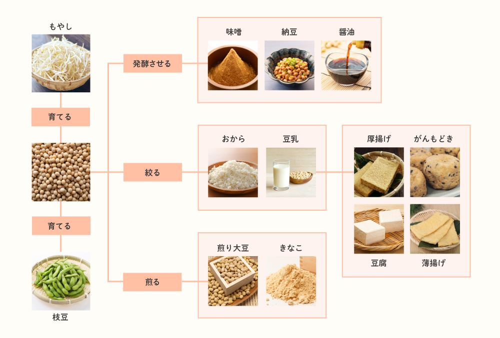 加工方法の違いから見る大豆食品の種類