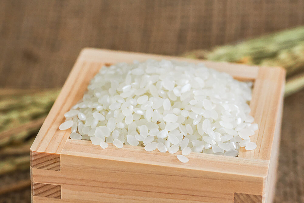 隠れた銘品種「ゆきさやか」とは？ 新しい北海道米の特徴と味わいを紹介の画像