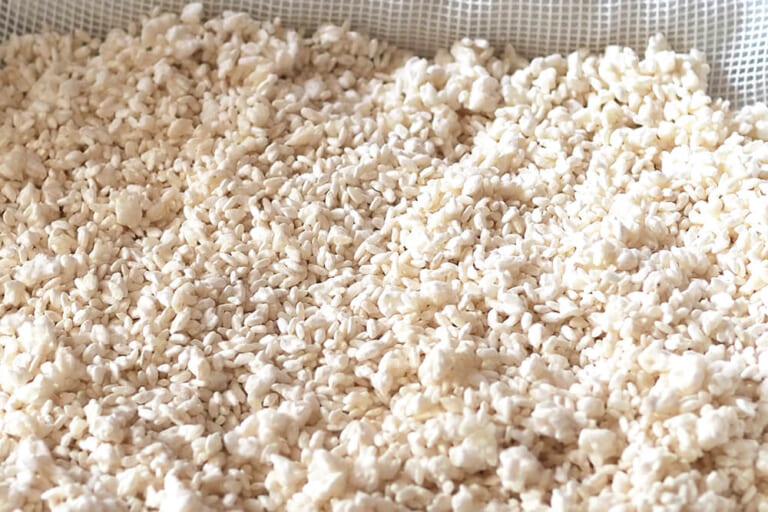 自宅で簡単にできる「麹(米麹)」の作り方!麹作りのポイントや保存方法も紹介|PREZO(プレゾ) - 北海道のお取り寄せグルメと産直通販