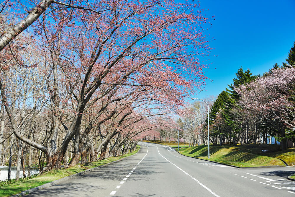 北海道の道路