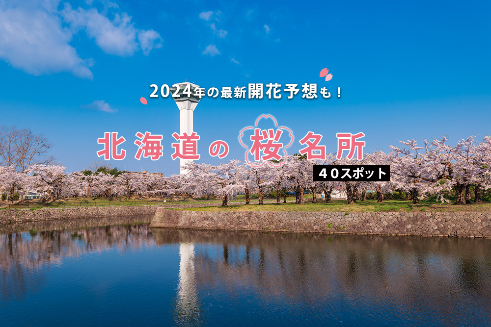 北海道の桜はいつ開花する？ 見頃は？ 2024年の最新開花予想と桜の名所40選のイメージ