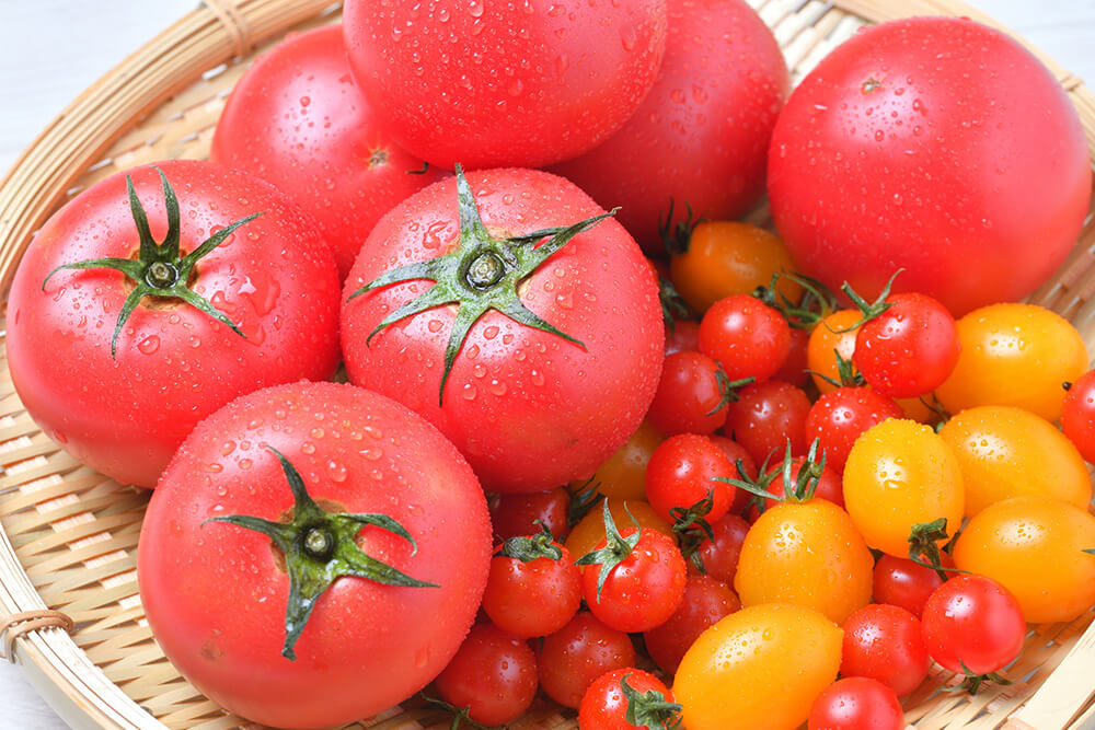 トマトとミニトマト