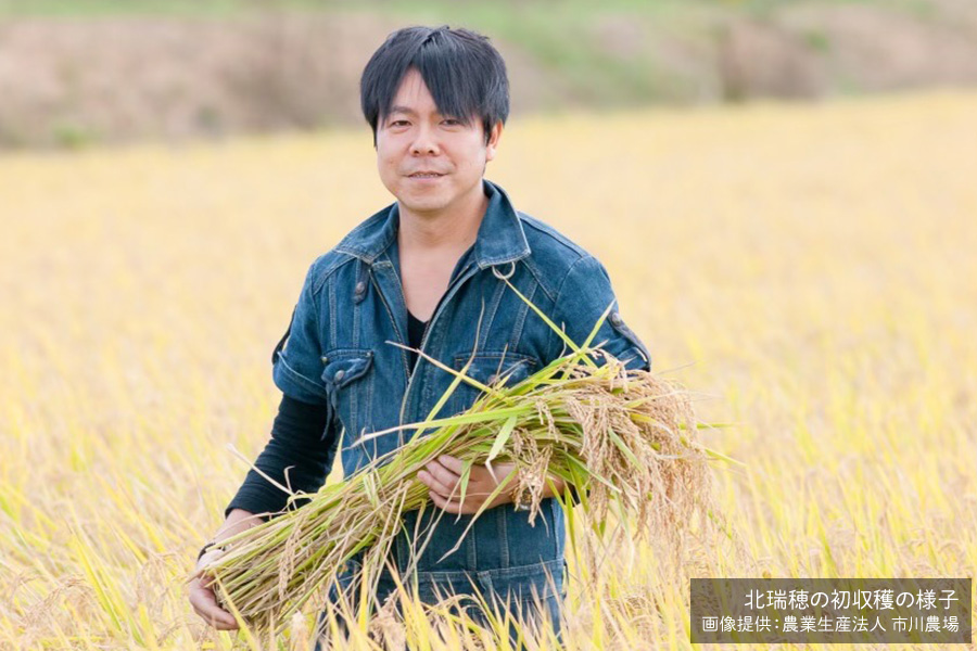 初収穫した北瑞穂と市川農場の市川範之さん