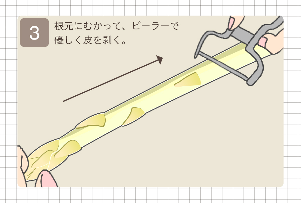 アスパラガスの下処理2