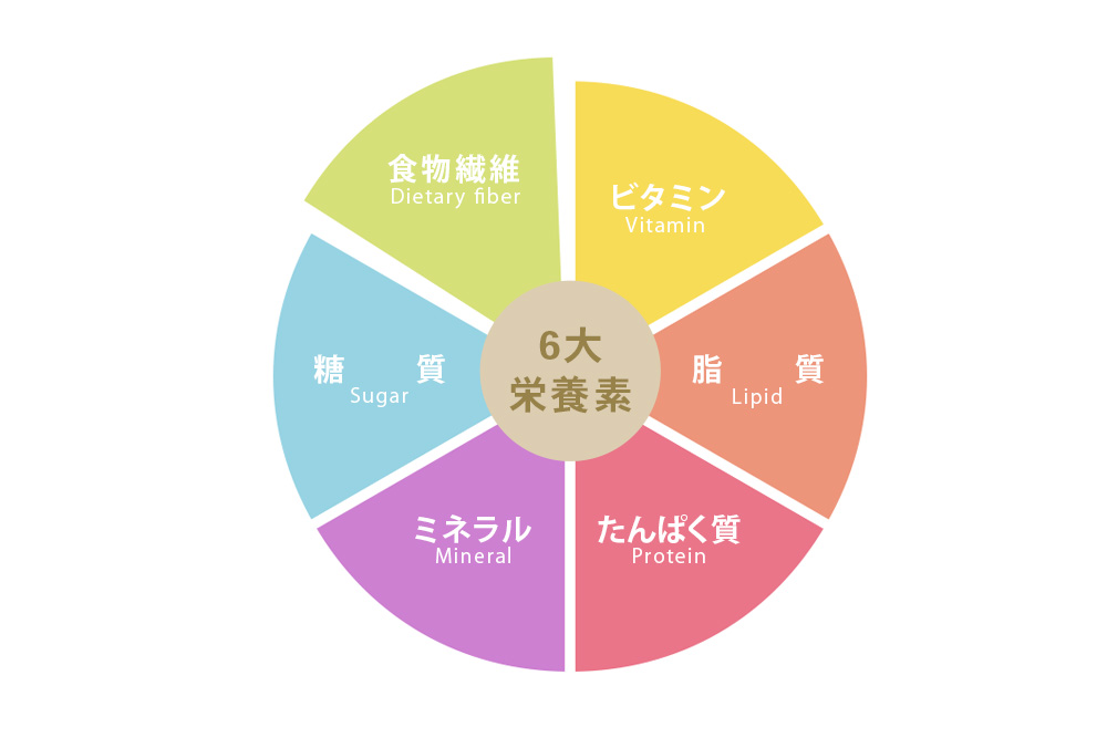 6大栄養素の円グラフ