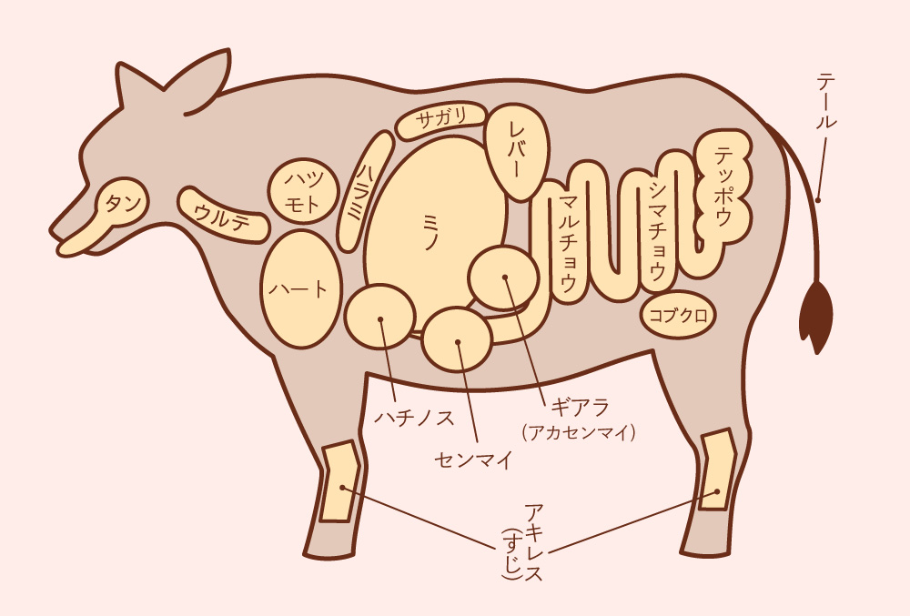 牛ホルモンの部位の名前