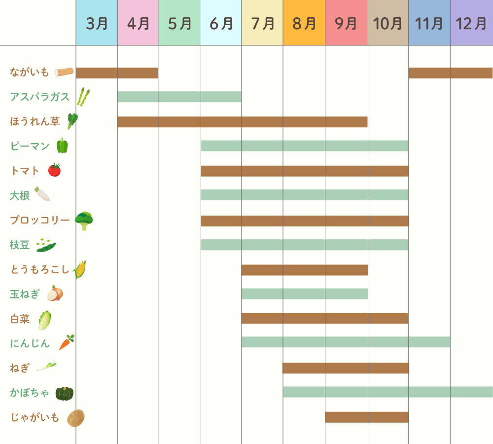 【旬の時期を知りたい】北海道お野菜カレンダー