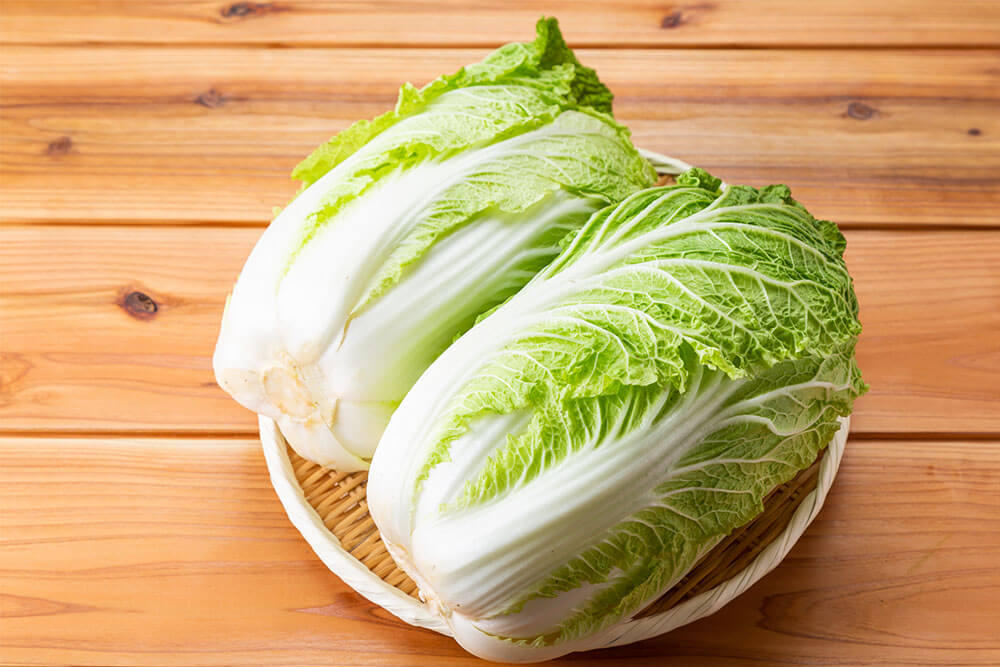 白菜