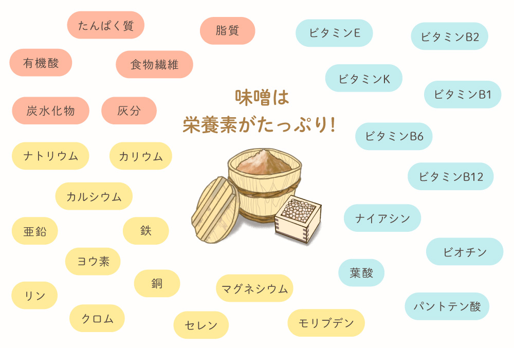 味噌に含まれる主な栄養素は?主原料の大豆は栄養豊富