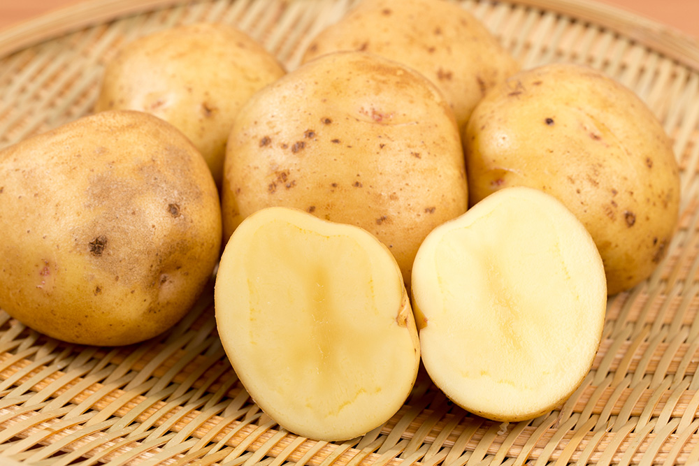 たあかりは果肉が鮮やかな黄色をしているのが特徴