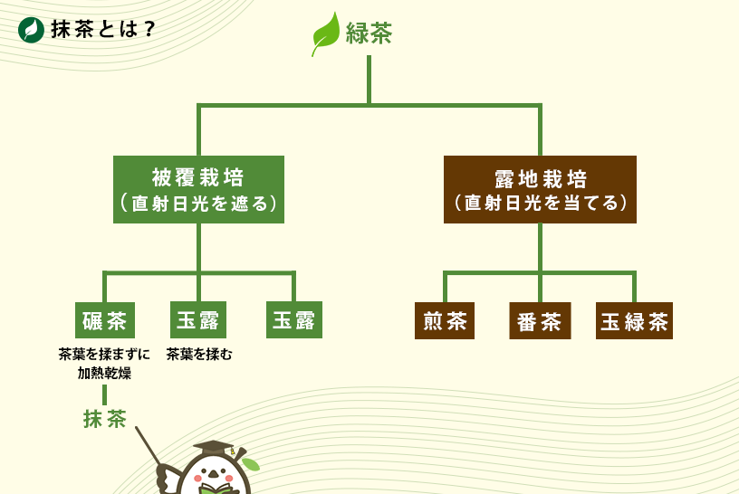 抹茶と緑茶の違い