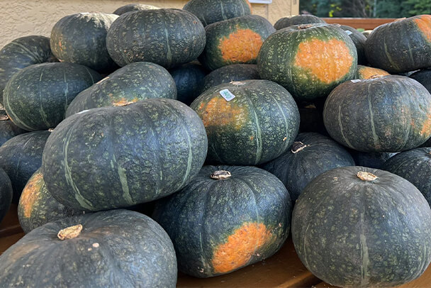 プティ・メルヴィーユが仕入れているくりりんかぼちゃのイメージ3