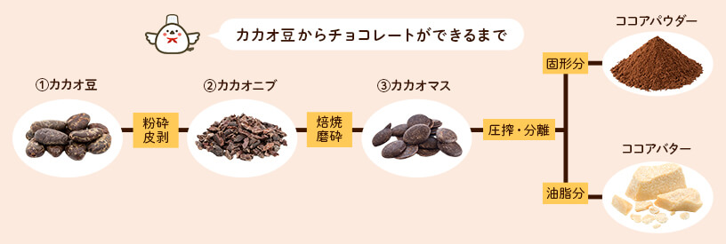 カカオ豆からチョコレートができるまで
