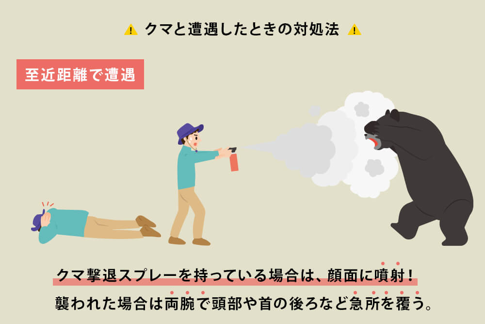 至近距離でクマと遭遇したら
