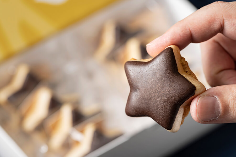 モナスク五稜郭