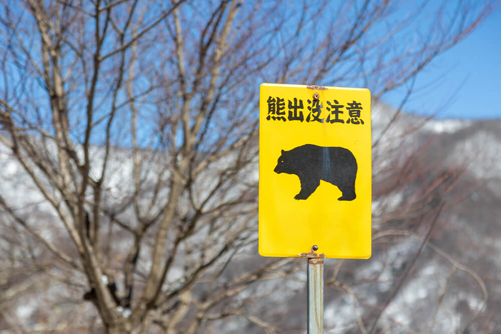 熊出没注意の標識