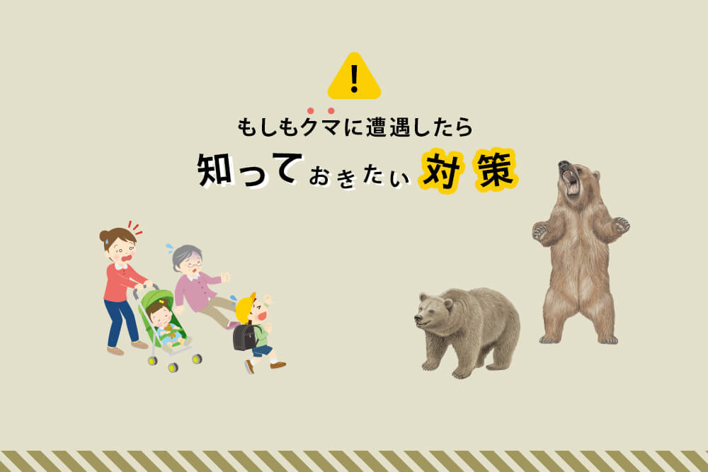 もしもクマに遭遇したら？被害を防ぐために知っておきたいクマ対策の画像